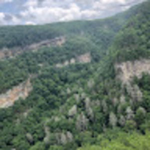 Meet your Posher, Timothy